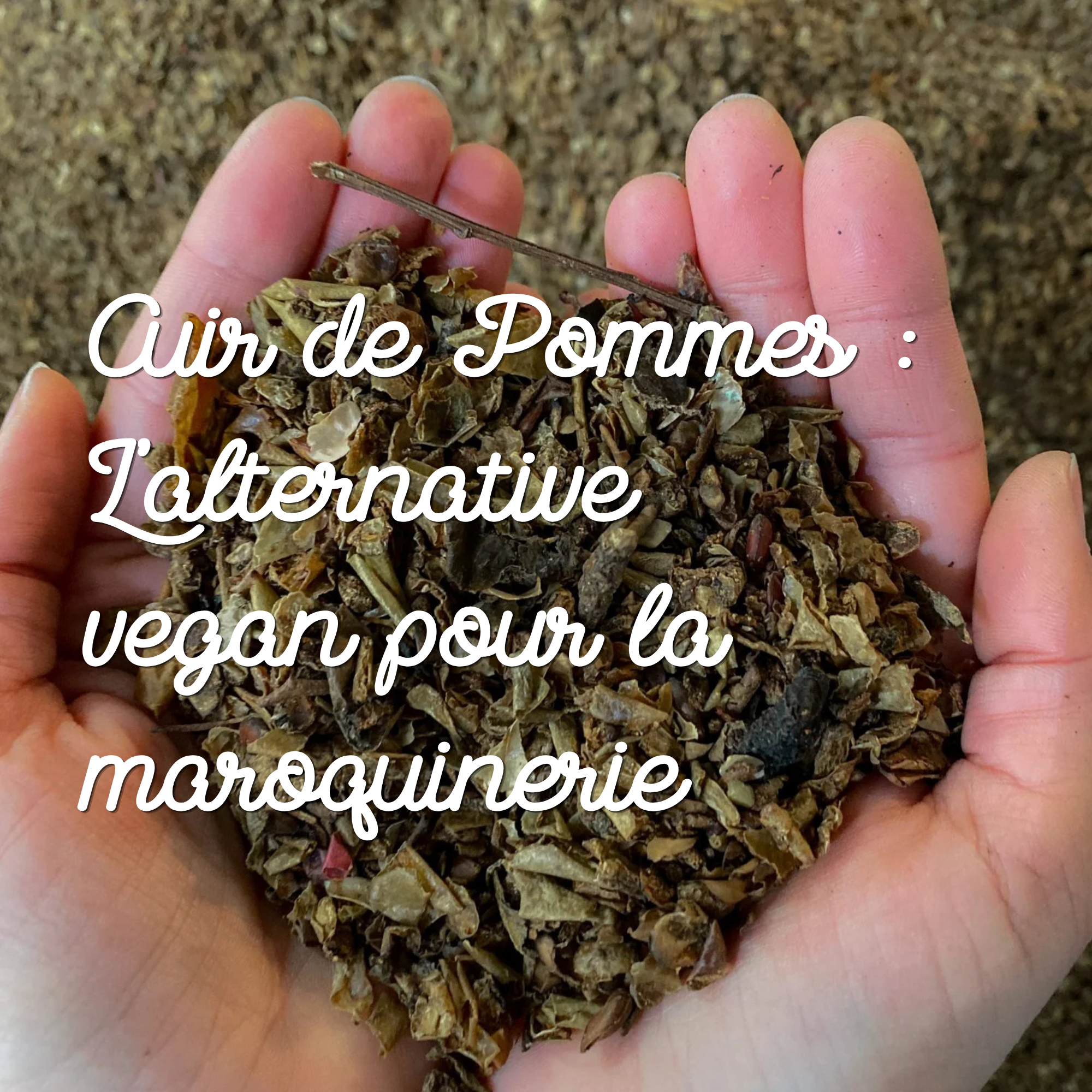 Qu'est ce que le cuir de pomme
